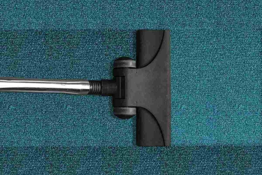 How To Remove Pet Stains on Carpet