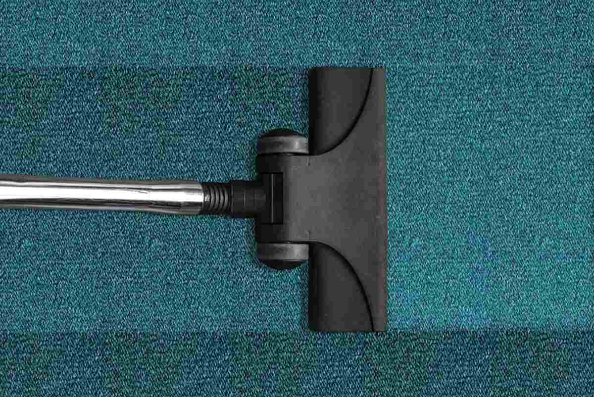 How To Remove Pet Stains on Carpet