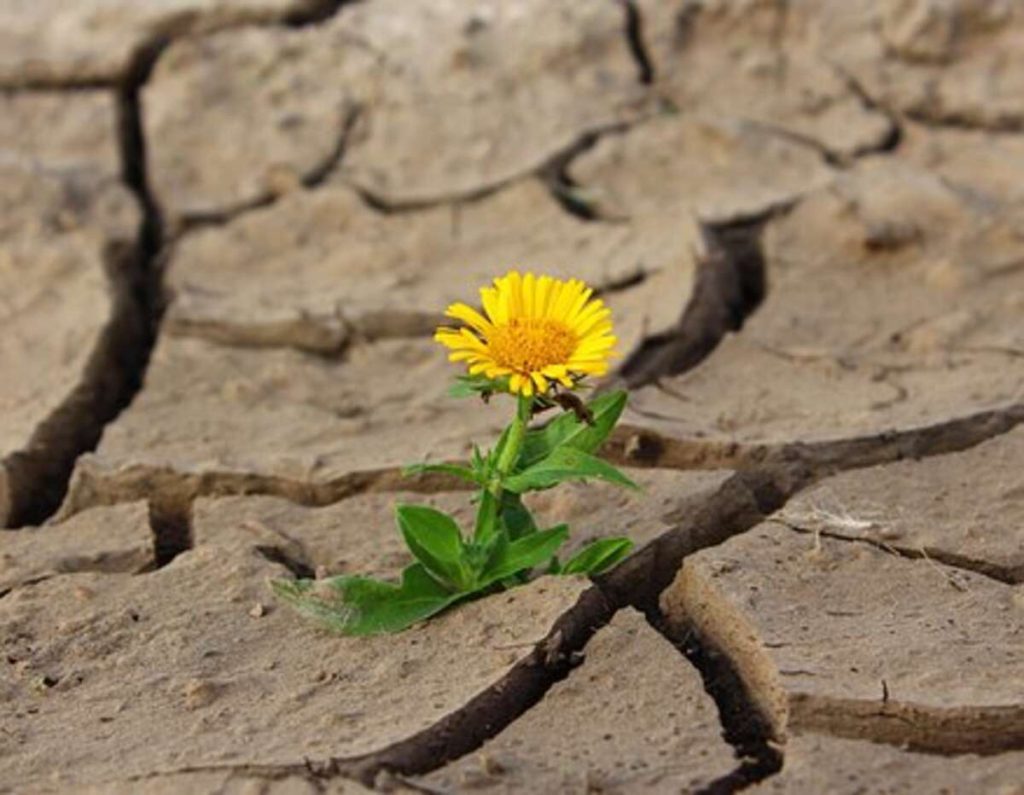 How to Stop Surviving and Start Thriving