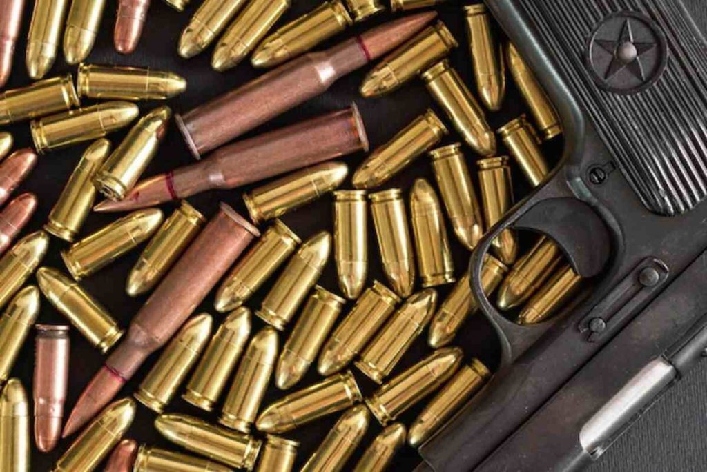 20 gauge ammo