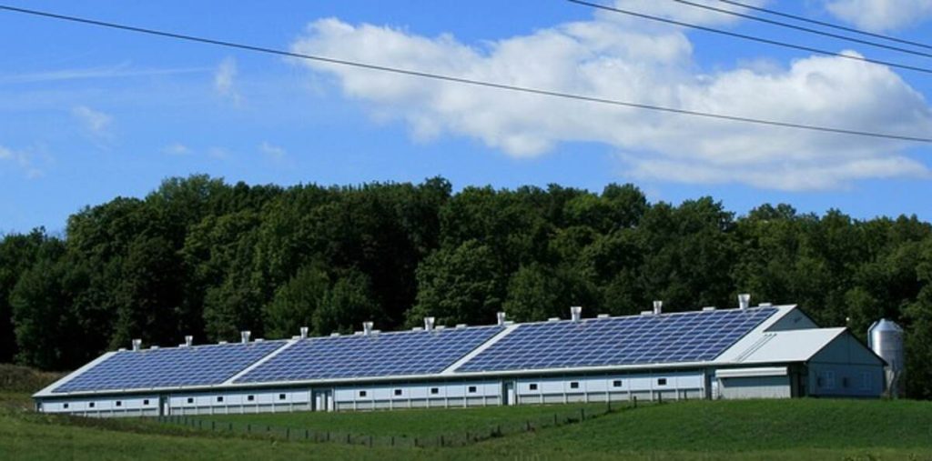 Solar Installation