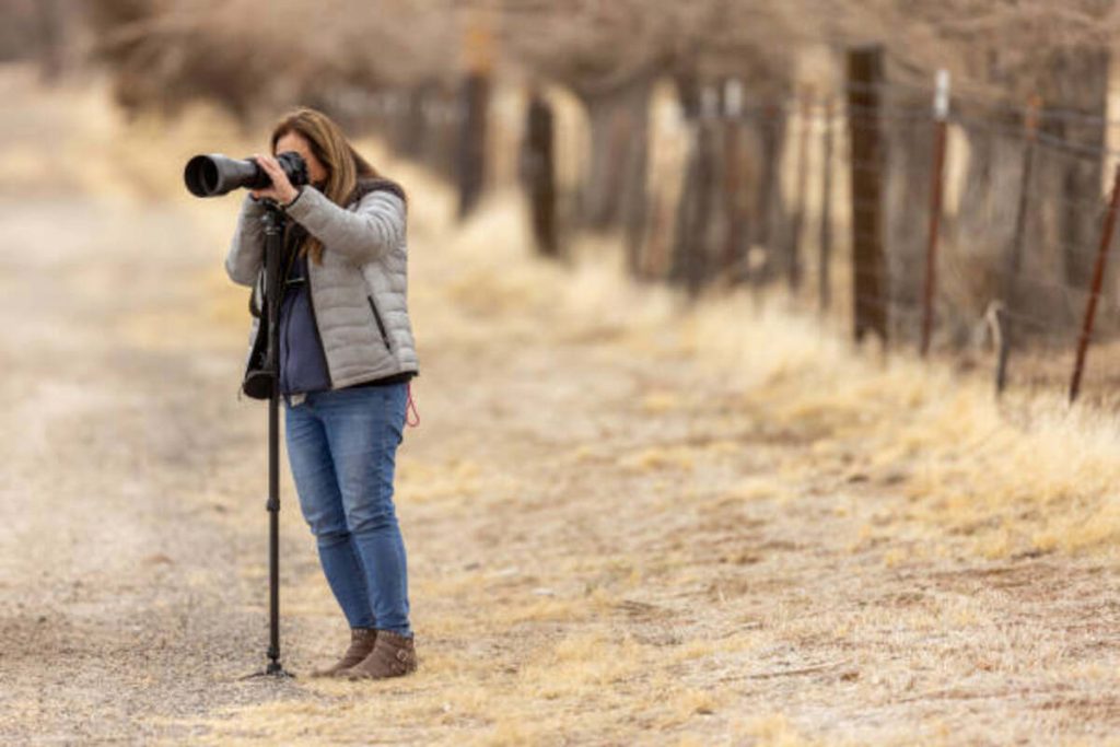 camera trap