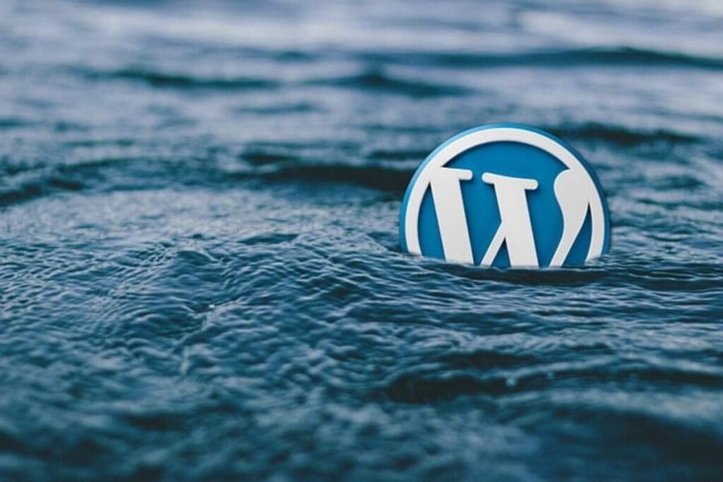 have two lines regarding text in a wordpress head
