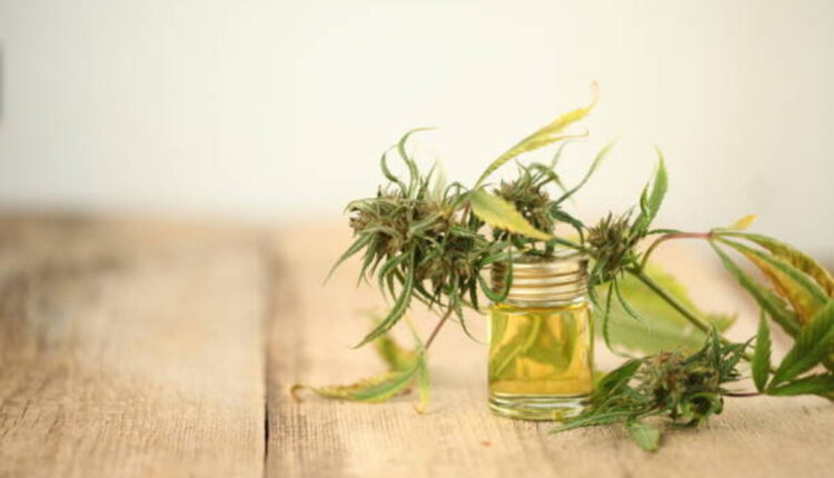 Some great benefits of Using Torch THCA Solutions